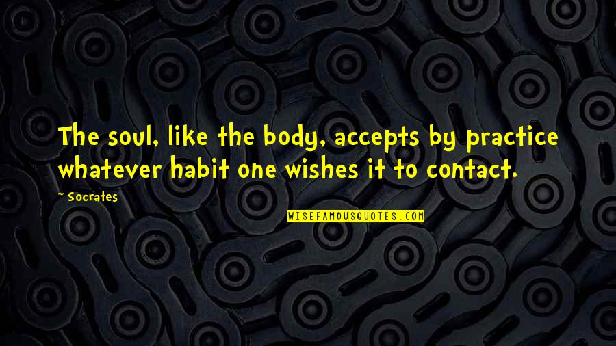 Ibn Arabi Quotes By Socrates: The soul, like the body, accepts by practice