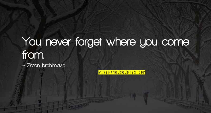 Ibrahimovic Quotes By Zlatan Ibrahimovic: You never forget where you come from.