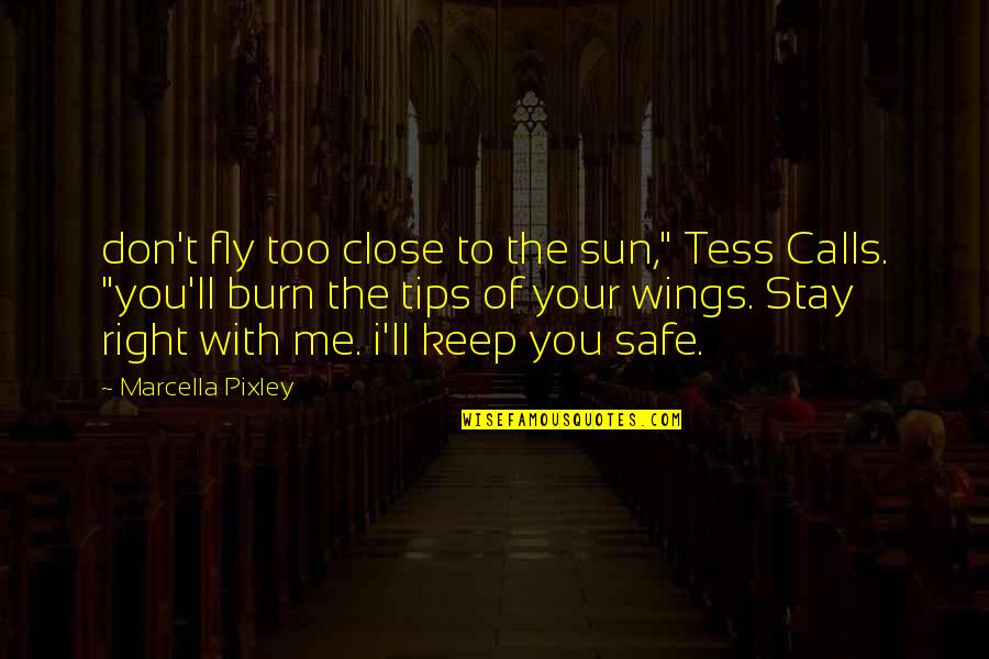Icarus Quotes By Marcella Pixley: don't fly too close to the sun," Tess Icarus Quotes By Marcella Pixley: don't fly too close to the sun," Tess
