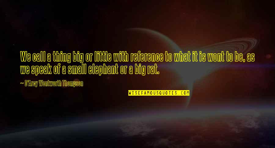 Icbing Quotes By D'Arcy Wentworth Thompson: We call a thing big or little with Icbing Quotes By D'Arcy Wentworth Thompson: We call a thing big or little with
