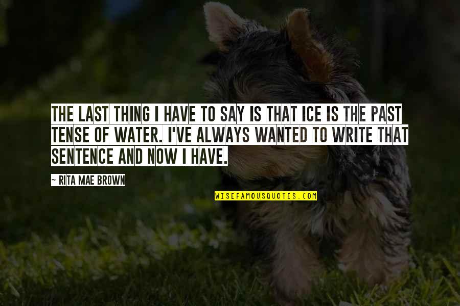 Ice And Water Quotes By Rita Mae Brown: The last thing I have to say is