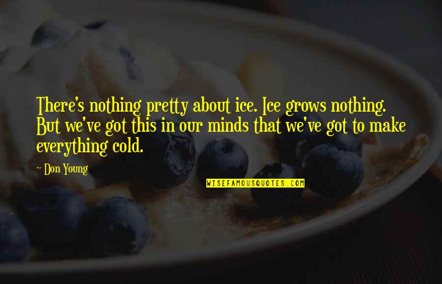 Ice Cold Quotes By Don Young: There's nothing pretty about ice. Ice grows nothing.