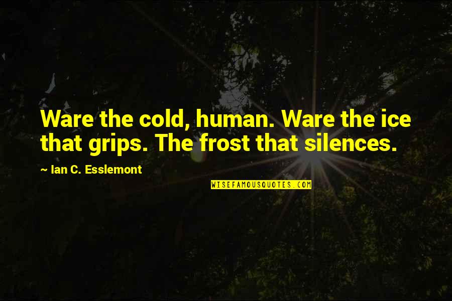 Ice Cold Quotes By Ian C. Esslemont: Ware the cold, human. Ware the ice that