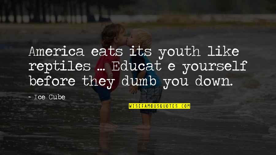 Ice Cube Are We There Yet Quotes By Ice Cube: America eats its youth like reptiles ... Educat