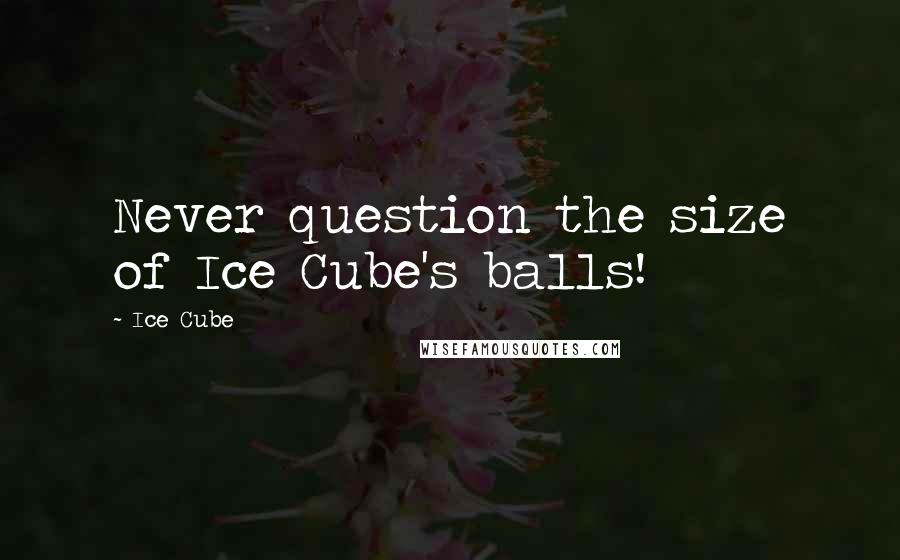 Ice Cube quotes: Never question the size of Ice Cube's balls!