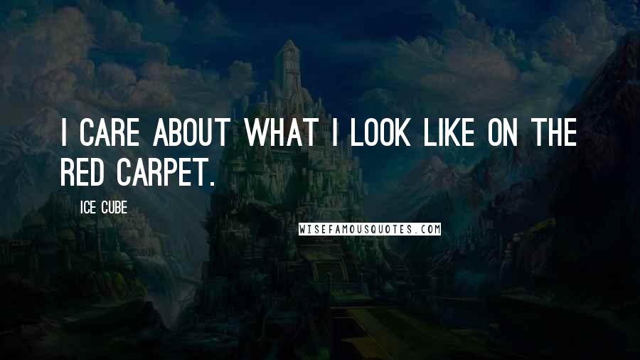 Ice Cube quotes: I care about what I look like on the red carpet.