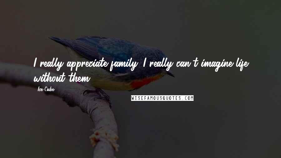 Ice Cube quotes: I really appreciate family. I really can't imagine life without them!