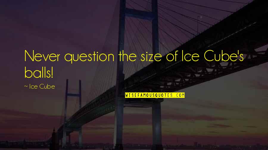 Ice Cubes Quotes By Ice Cube: Never question the size of Ice Cube's balls!