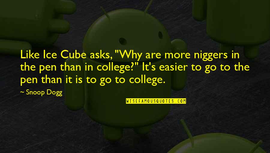Ice Cubes Quotes By Snoop Dogg: Like Ice Cube asks, "Why are more niggers