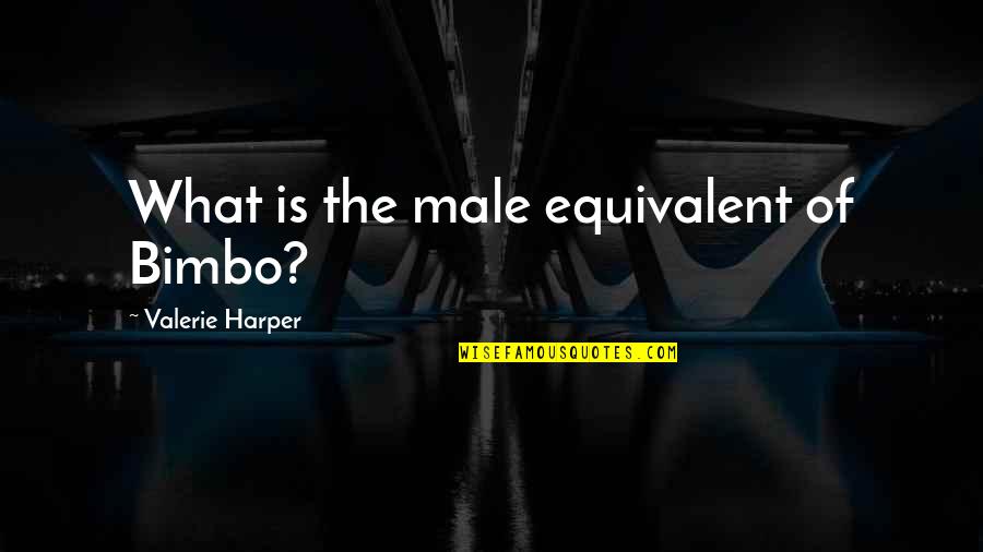 Ice Scramble Quotes By Valerie Harper: What is the male equivalent of Bimbo?