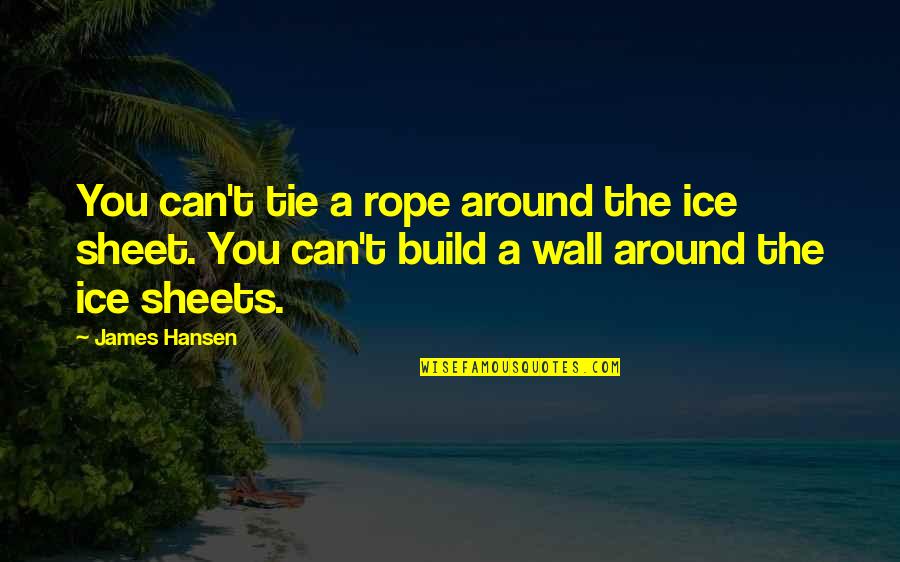 Ice Sheets Quotes By James Hansen: You can't tie a rope around the ice