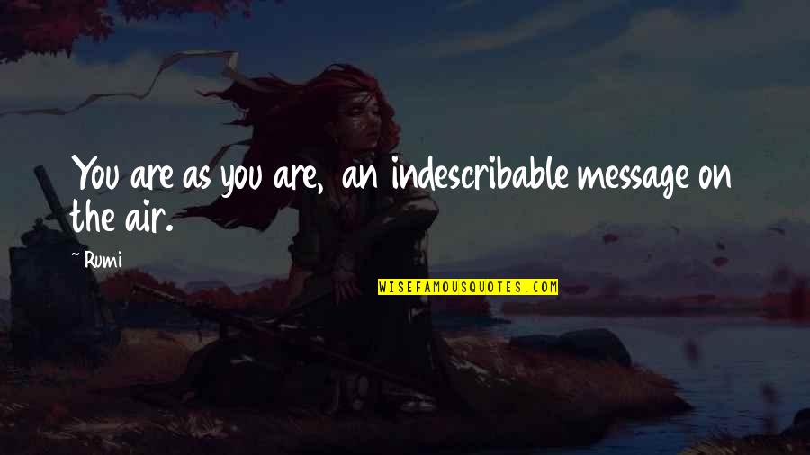 Ice Sickles Quotes By Rumi: You are as you are, an indescribable message