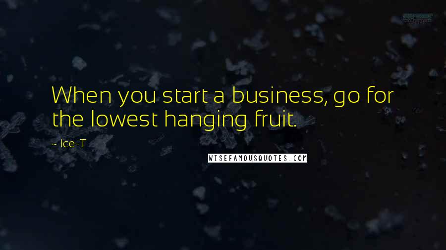 Ice-T quotes: When you start a business, go for the lowest hanging fruit.