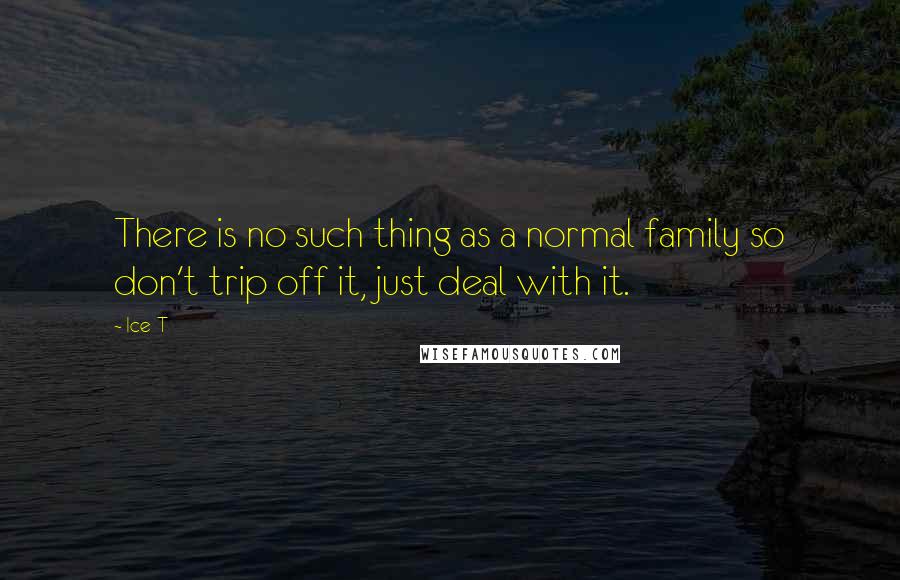 Ice-T quotes: There is no such thing as a normal family so don't trip off it, just deal with it.