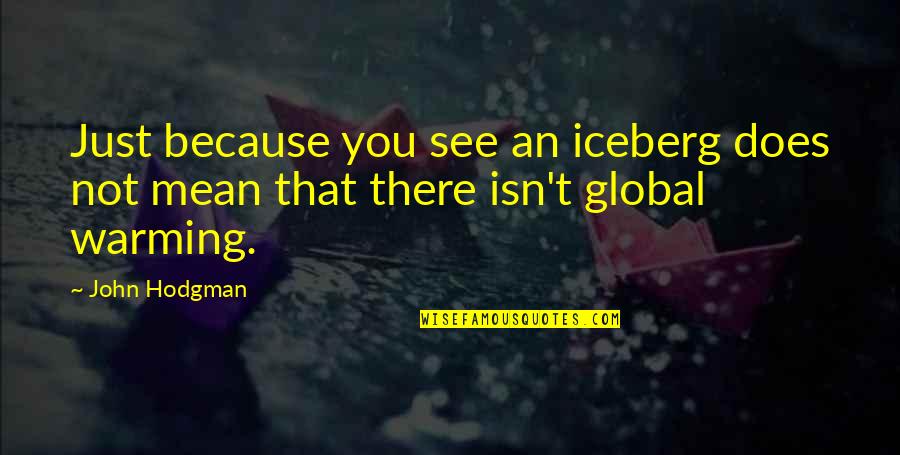 Iceberg Quotes By John Hodgman: Just because you see an iceberg does not