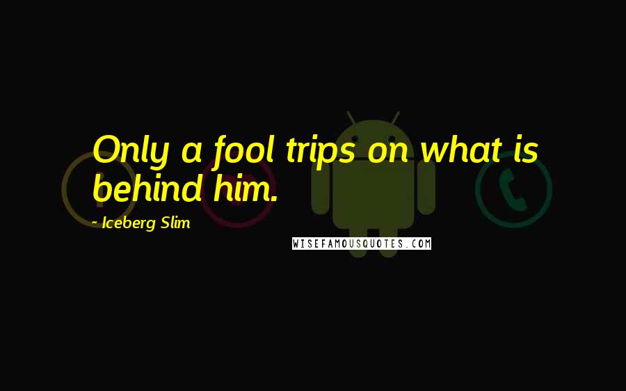 Iceberg Slim quotes: Only a fool trips on what is behind him.