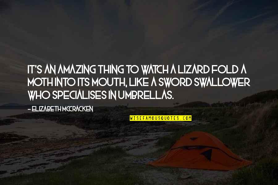 Icecloud Warriors Quotes By Elizabeth McCracken: It's an amazing thing to watch a lizard Icecloud Warriors Quotes By Elizabeth McCracken: It's an amazing thing to watch a lizard