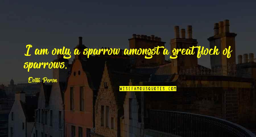 Icefall Quotes By Evita Peron: I am only a sparrow amongst a great