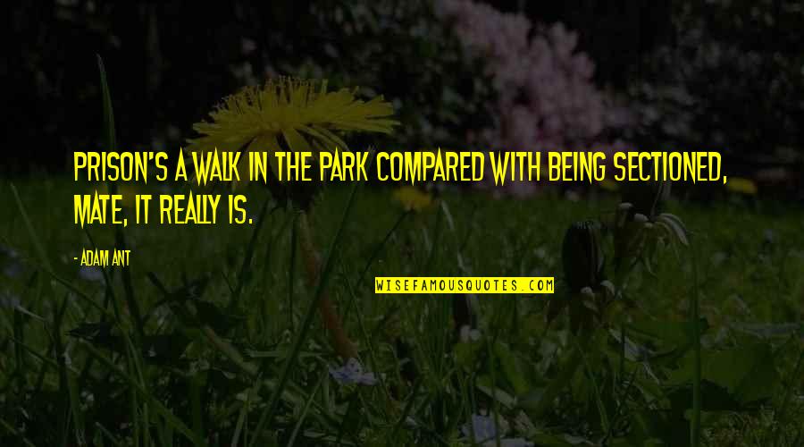 Iceis Dblp Quotes By Adam Ant: Prison's a walk in the park compared with