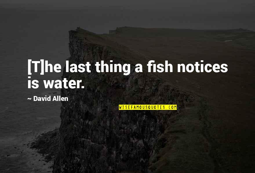 Iceis Quotes By David Allen: [T]he last thing a fish notices is water.