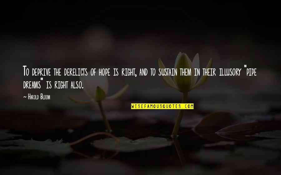 Iceman Quotes By Harold Bloom: To deprive the derelicts of hope is right, Iceman Quotes By Harold Bloom: To deprive the derelicts of hope is right,