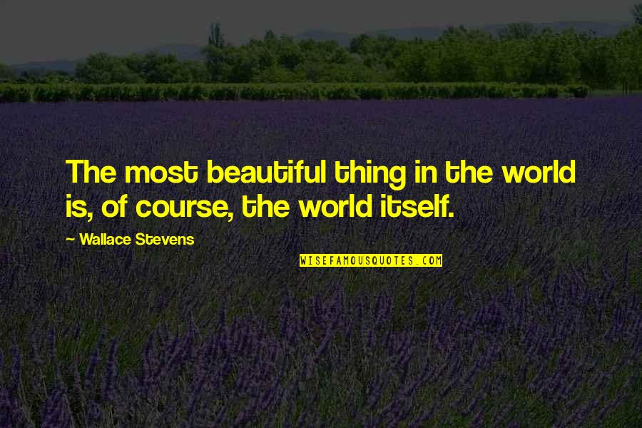 Ichabod Crane Best Quotes By Wallace Stevens: The most beautiful thing in the world is,