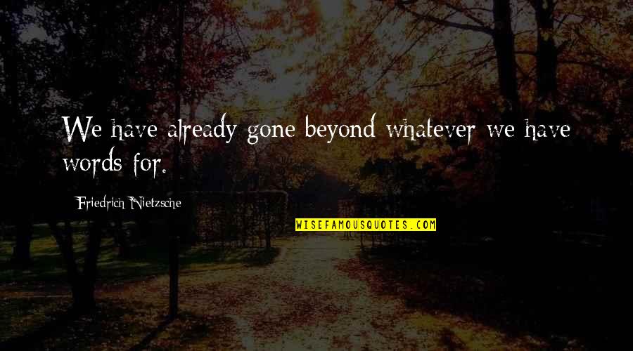 Ichie Quotes By Friedrich Nietzsche: We have already gone beyond whatever we have