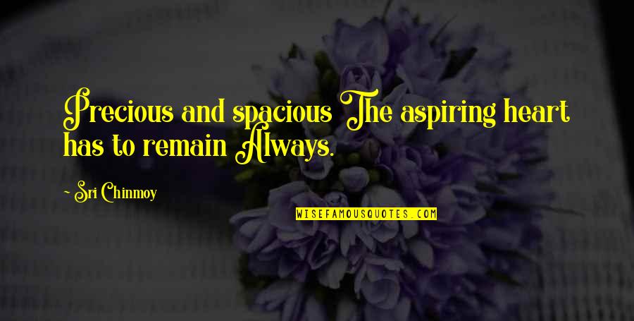 Ichikokudo Quotes By Sri Chinmoy: Precious and spacious The aspiring heart has to