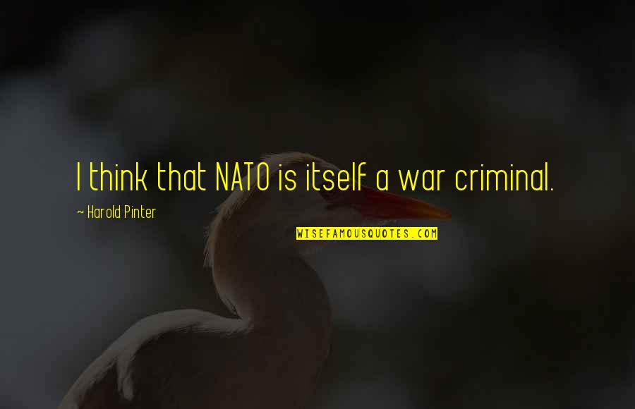 Ichizo Nishino Quotes By Harold Pinter: I think that NATO is itself a war Ichizo Nishino Quotes By Harold Pinter: I think that NATO is itself a war