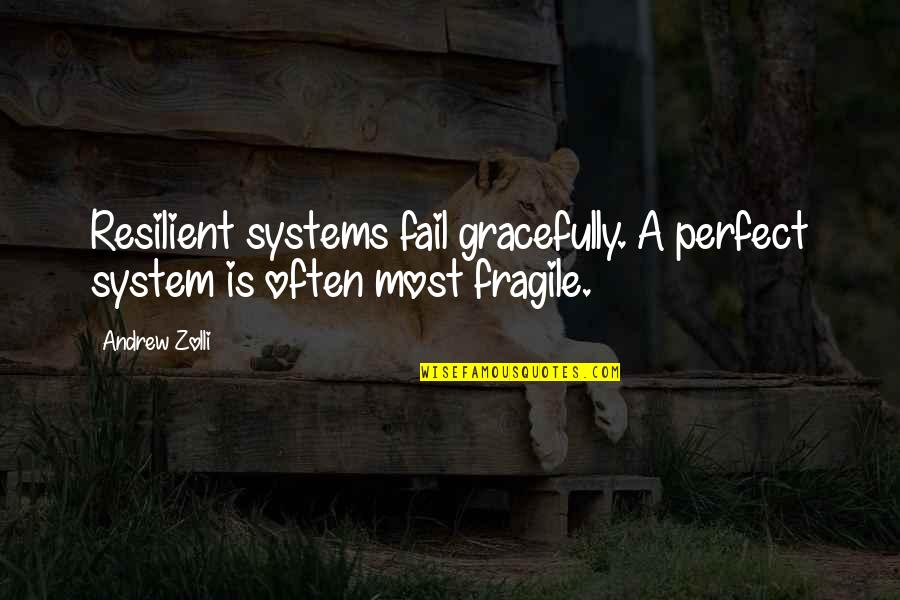 Icings By Ang Quotes By Andrew Zolli: Resilient systems fail gracefully. A perfect system is