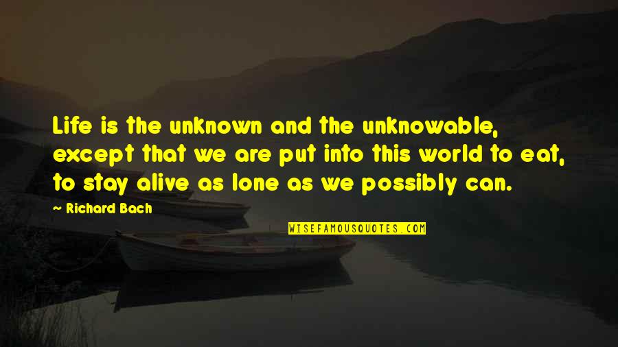 Iconic Clueless Quotes By Richard Bach: Life is the unknown and the unknowable, except Iconic Clueless Quotes By Richard Bach: Life is the unknown and the unknowable, except