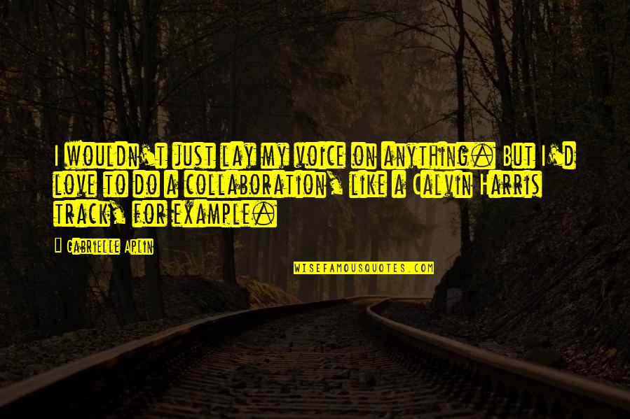 I'd Do Anything Quotes By Gabrielle Aplin: I wouldn't just lay my voice on anything. I'd Do Anything Quotes By Gabrielle Aplin: I wouldn't just lay my voice on anything.