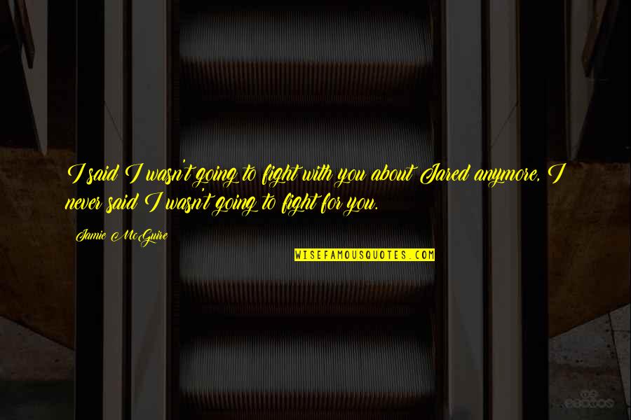 I'd Fight For You Quotes By Jamie McGuire: I said I wasn't going to fight with