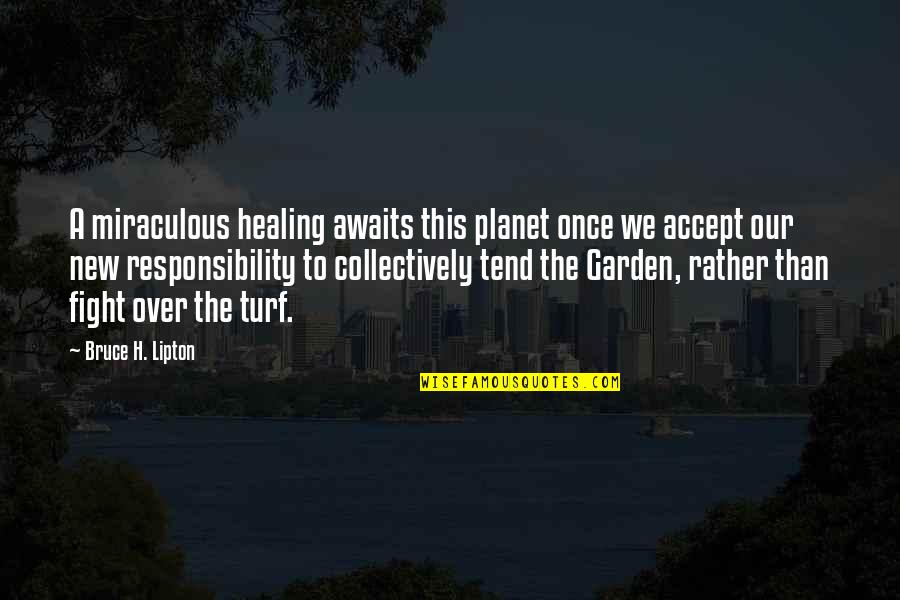 I'd Rather Fight With You Quotes By Bruce H. Lipton: A miraculous healing awaits this planet once we I'd Rather Fight With You Quotes By Bruce H. Lipton: A miraculous healing awaits this planet once we