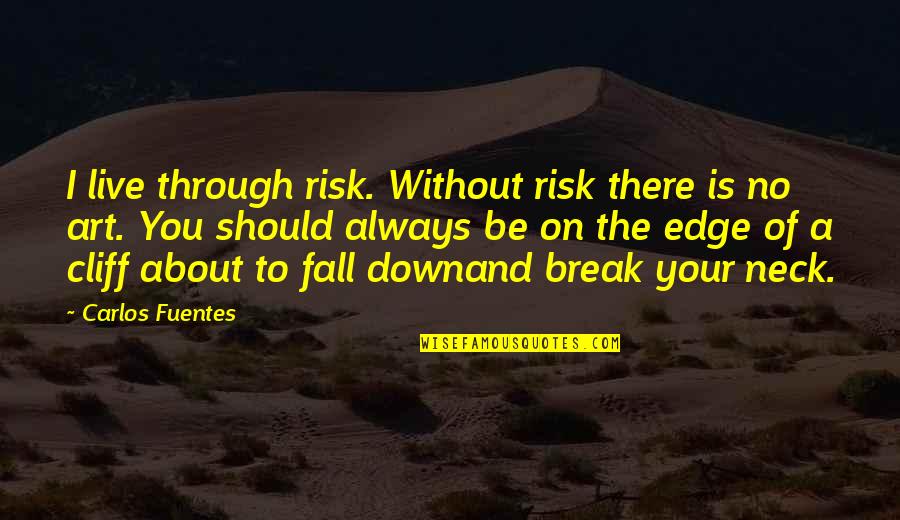 I'd Risk The Fall Quotes By Carlos Fuentes: I live through risk. Without risk there is