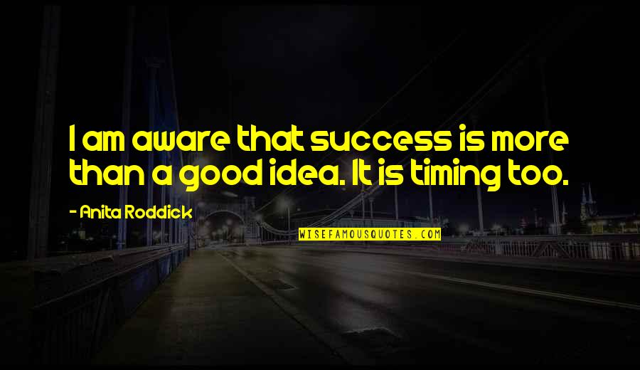 Idea And Success Quotes By Anita Roddick: I am aware that success is more than