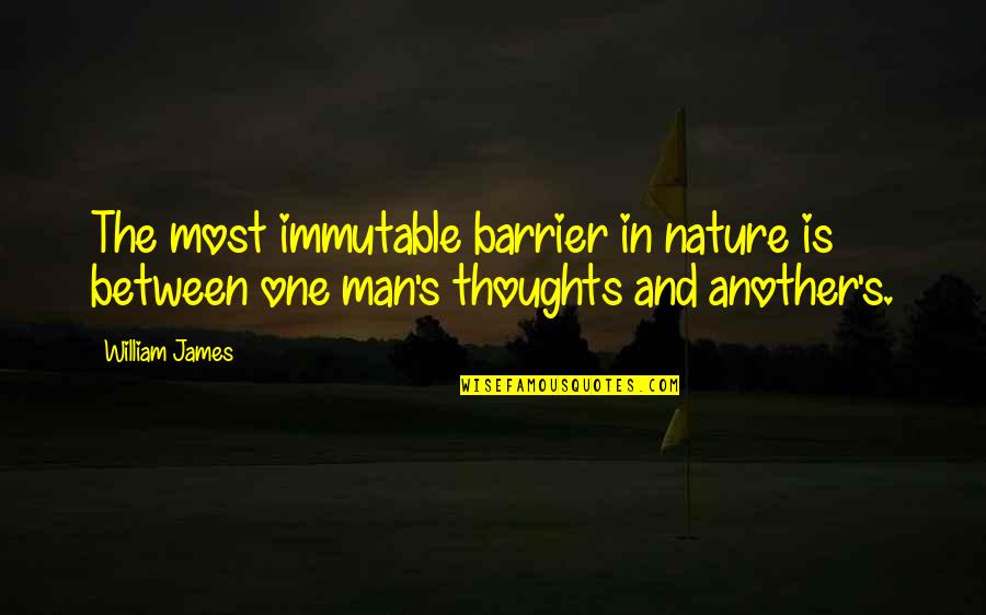 Idea Implementation Quotes By William James: The most immutable barrier in nature is between