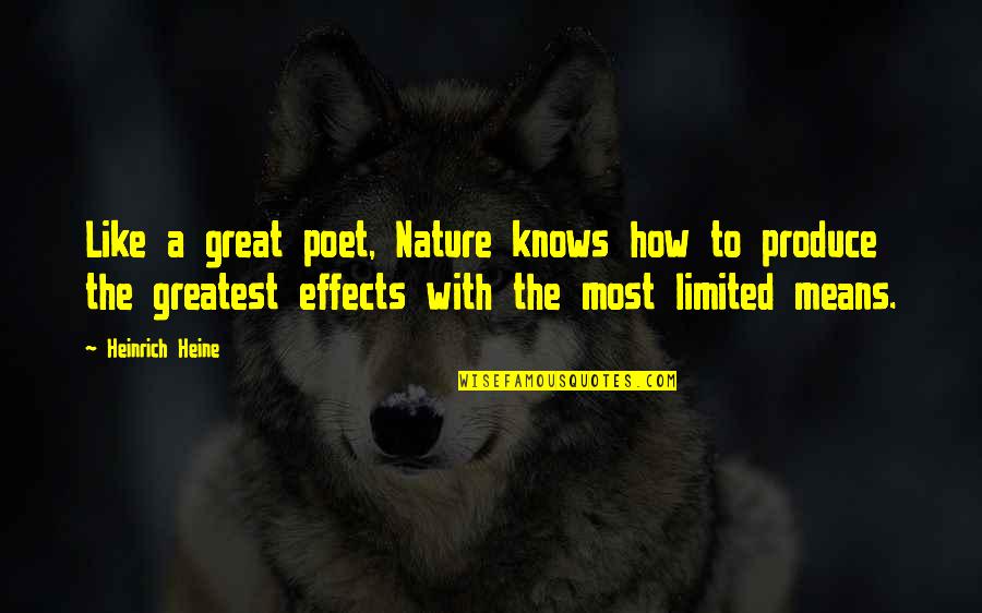 Idea Of Perfection Quotes By Heinrich Heine: Like a great poet, Nature knows how to