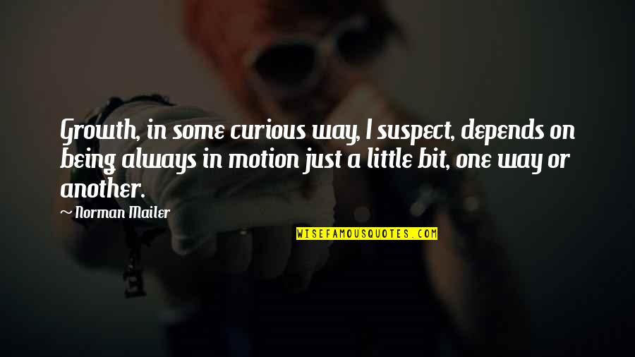 Idea Without Execution Quotes By Norman Mailer: Growth, in some curious way, I suspect, depends Idea Without Execution Quotes By Norman Mailer: Growth, in some curious way, I suspect, depends