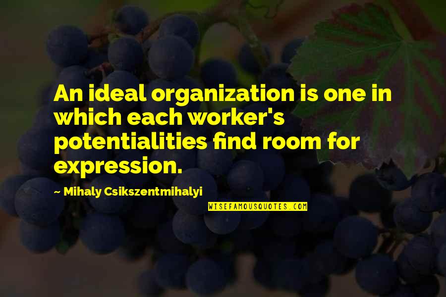 Ideal Quotes By Mihaly Csikszentmihalyi: An ideal organization is one in which each