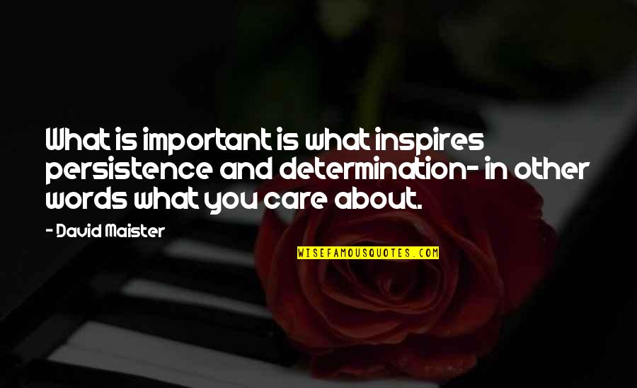 Idealist Educational Quotes By David Maister: What is important is what inspires persistence and