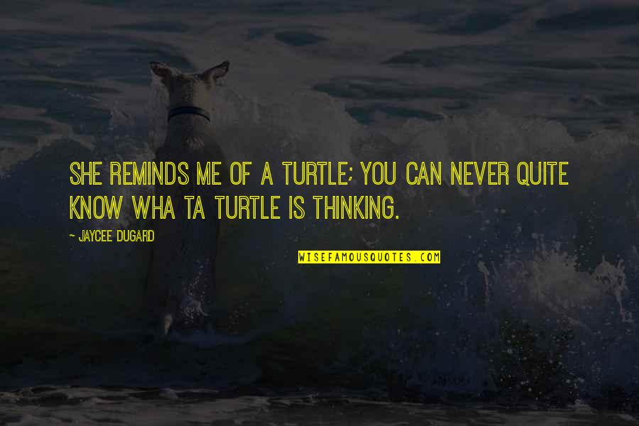 Idealistically Synonyms Quotes By Jaycee Dugard: She reminds me of a turtle; you can
