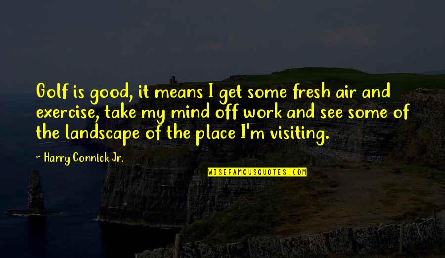 Idealists Synonym Quotes By Harry Connick Jr.: Golf is good, it means I get some Idealists Synonym Quotes By Harry Connick Jr.: Golf is good, it means I get some