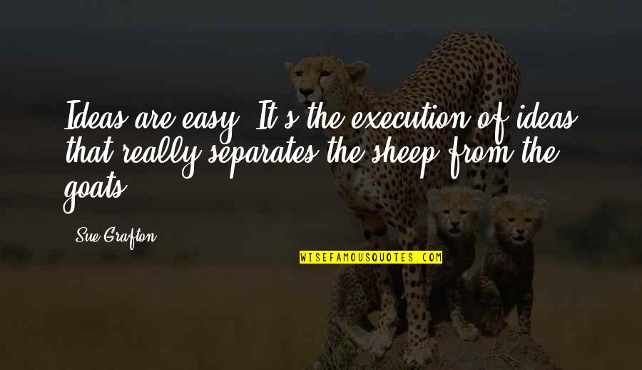 Ideas And Execution Quotes By Sue Grafton: Ideas are easy. It's the execution of ideas