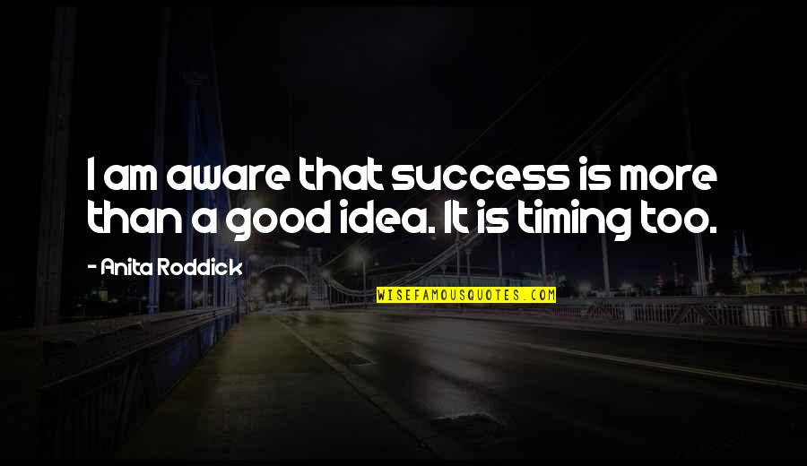 Ideas And Success Quotes By Anita Roddick: I am aware that success is more than