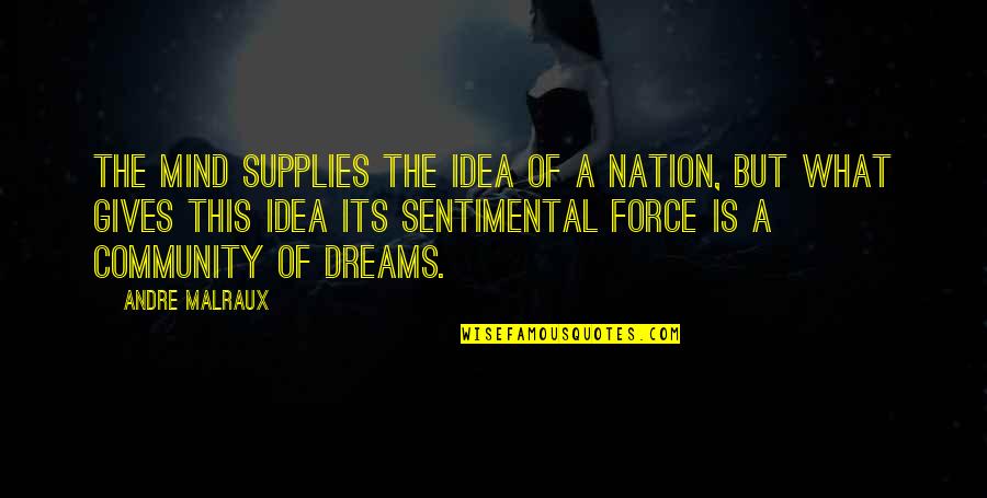 Ideas Mind Quotes By Andre Malraux: The mind supplies the idea of a nation,