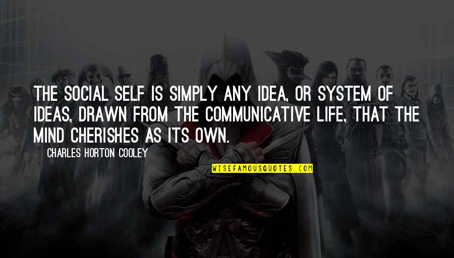 Ideas Mind Quotes By Charles Horton Cooley: The social self is simply any idea, or