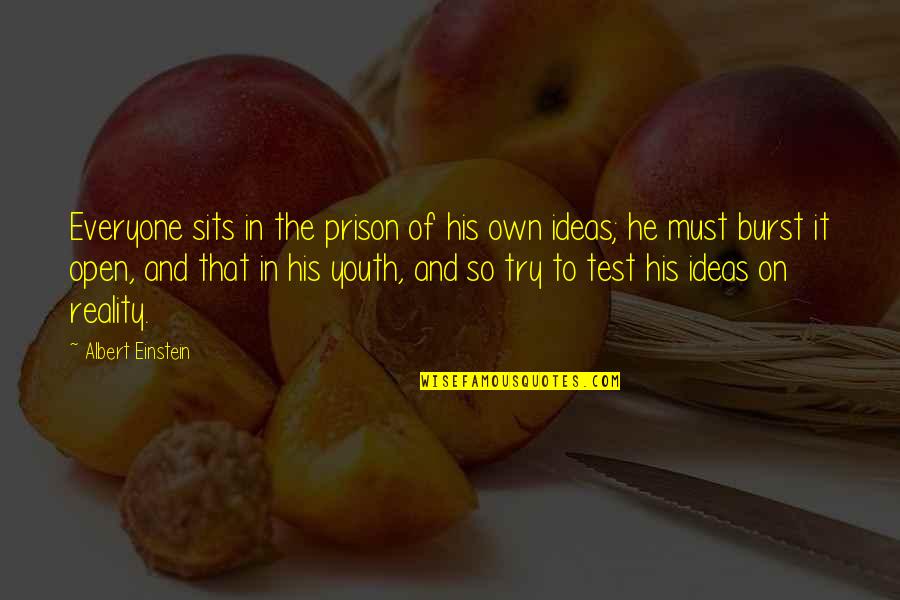 Ideas To Reality Quotes By Albert Einstein: Everyone sits in the prison of his own Ideas To Reality Quotes By Albert Einstein: Everyone sits in the prison of his own