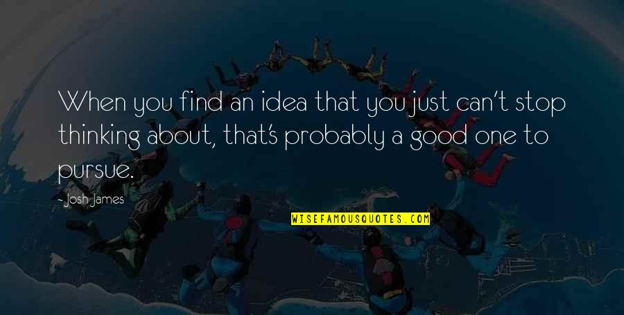 Ideas You Quotes By Josh James: When you find an idea that you just