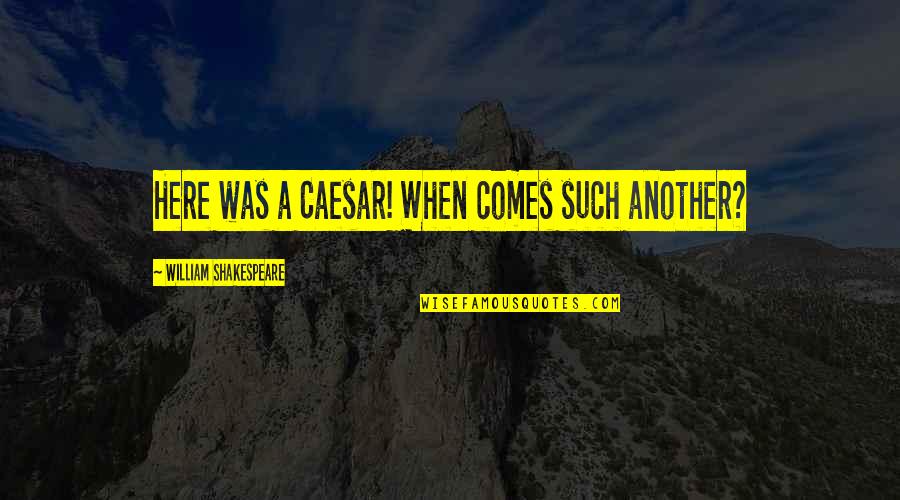 Idelma Kulischenko Quotes By William Shakespeare: Here was a Caesar! When comes such another?